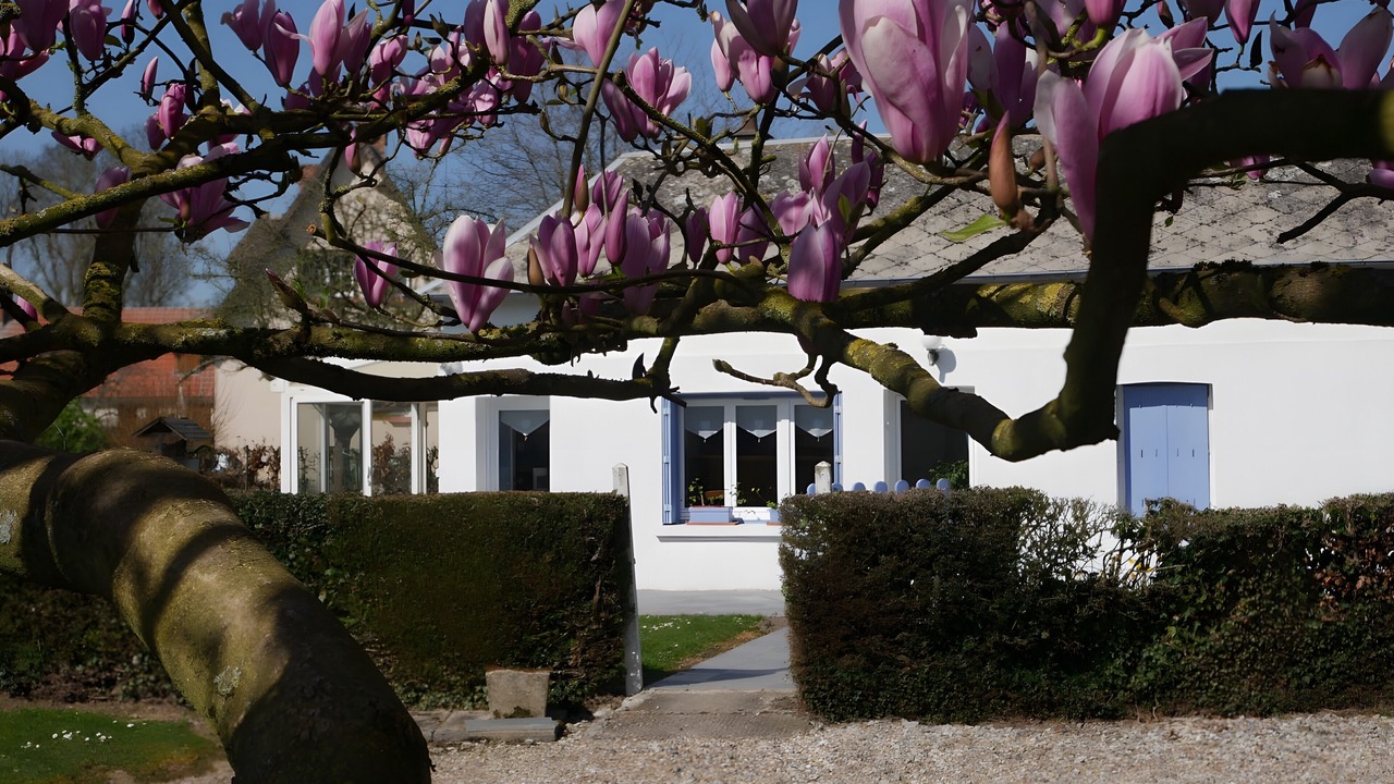 Photo of Outdoor in Sainte-Marguerite-sur-Duclair