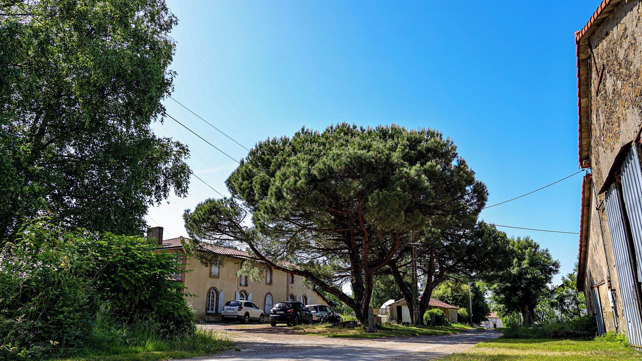 Photo of Outdoor in La Foret-sur-Sevre
