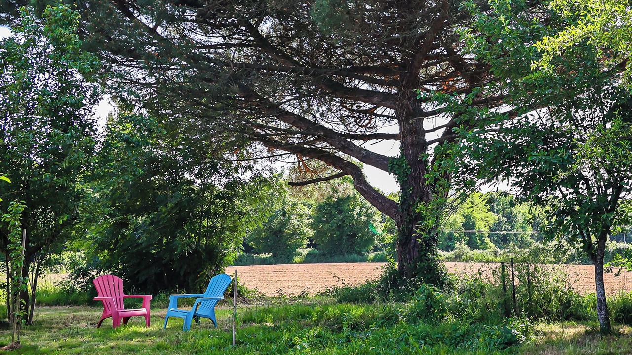 Photo of Outdoor in La Foret-sur-Sevre