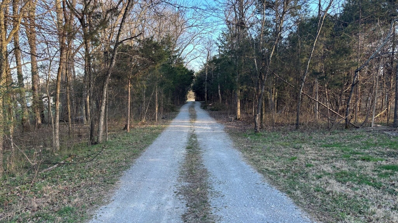 Photo of Others in Columbia
