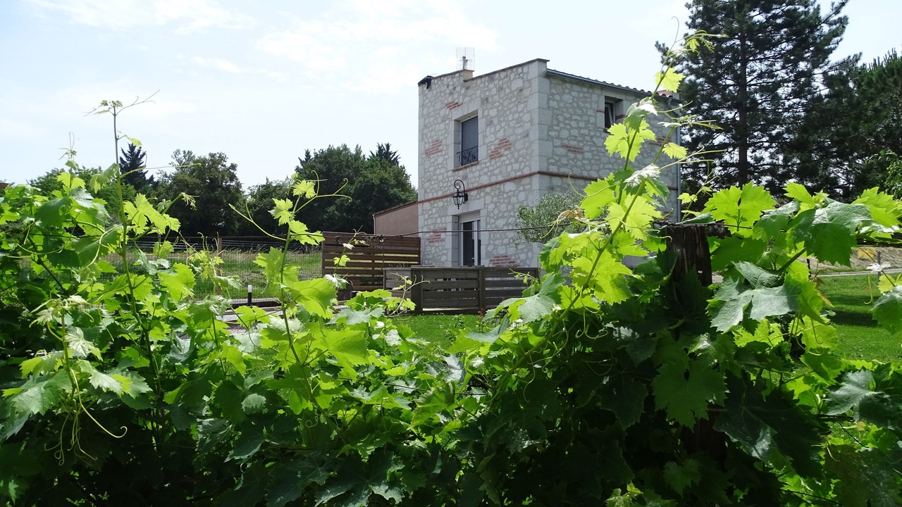 Photo of Outdoor in Moncaut