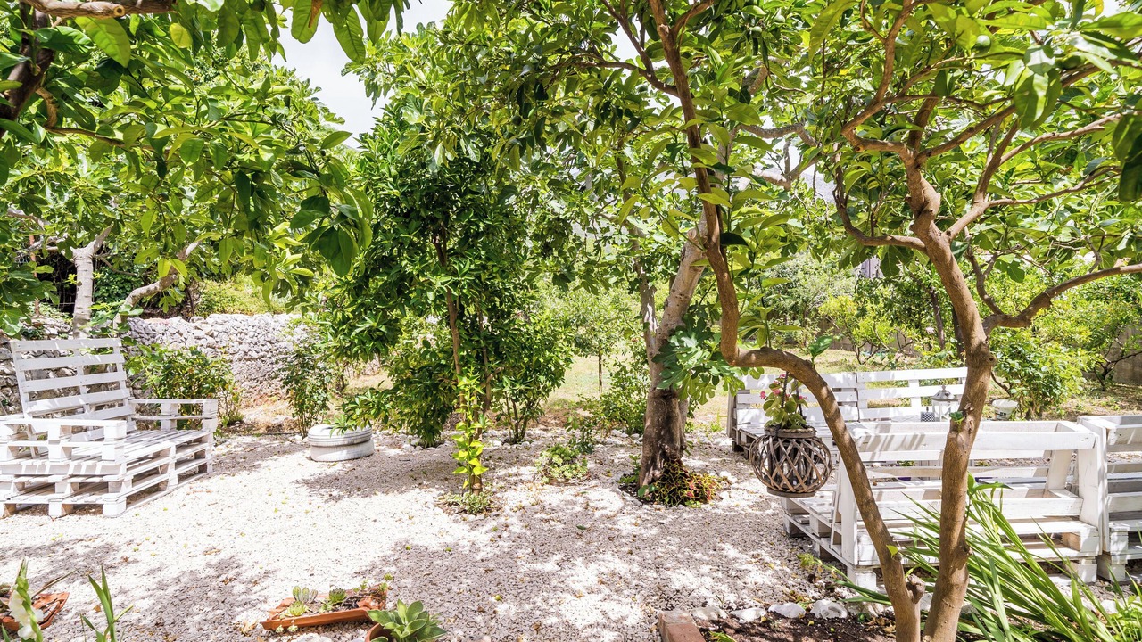 Photo of Outdoor in Slano