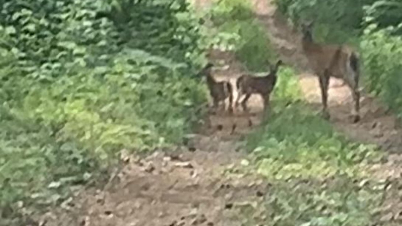 Photo of Others in Langton