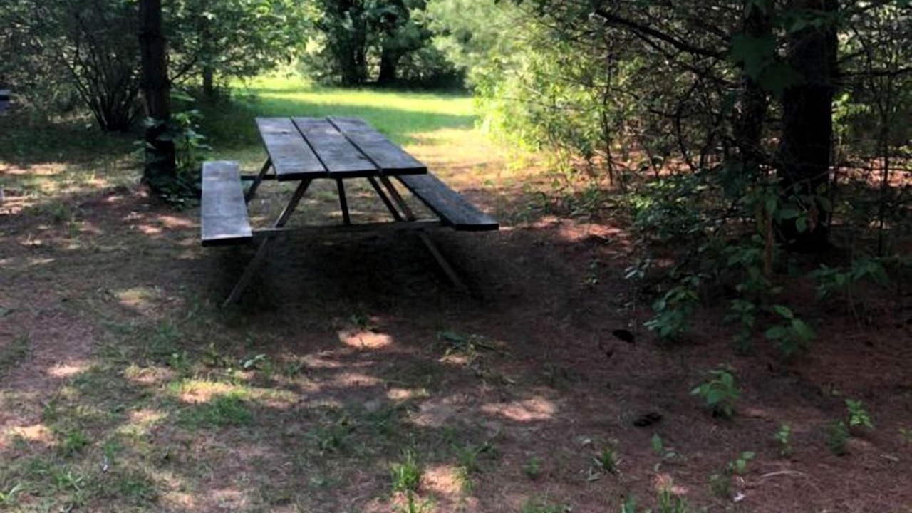 Photo of Outdoor in Port Dover