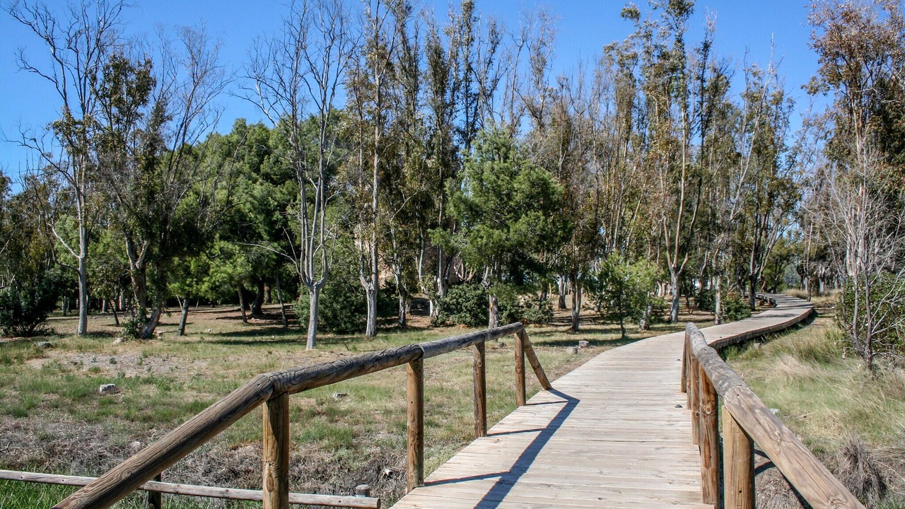 Photo of Others in Cabanes