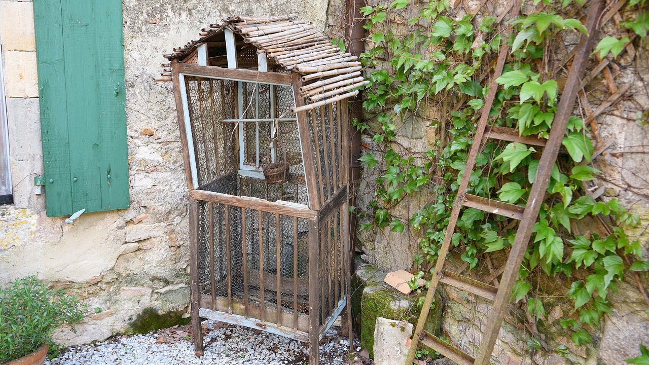 Photo of Outdoor in Saint-Martin-le-Vieil