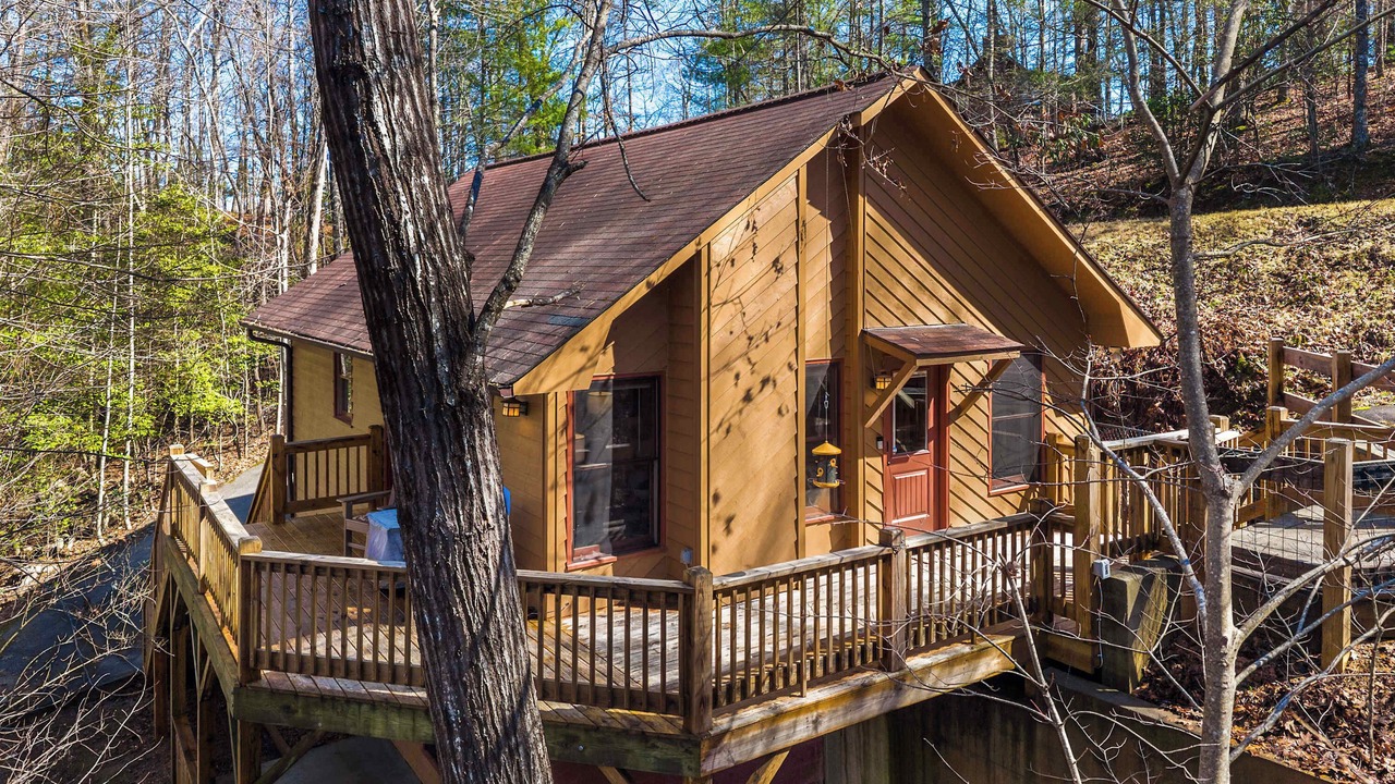 Photo of Outdoor in Tarheel