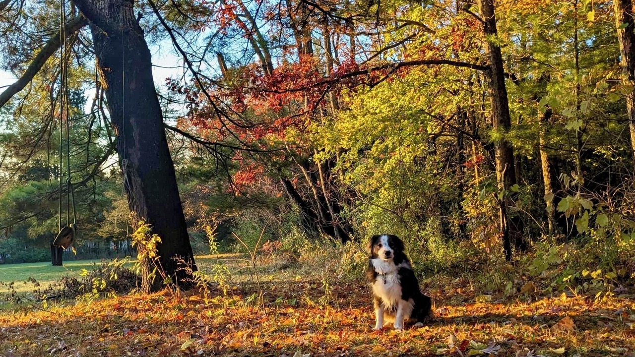 Photo of Outdoor in Colborne