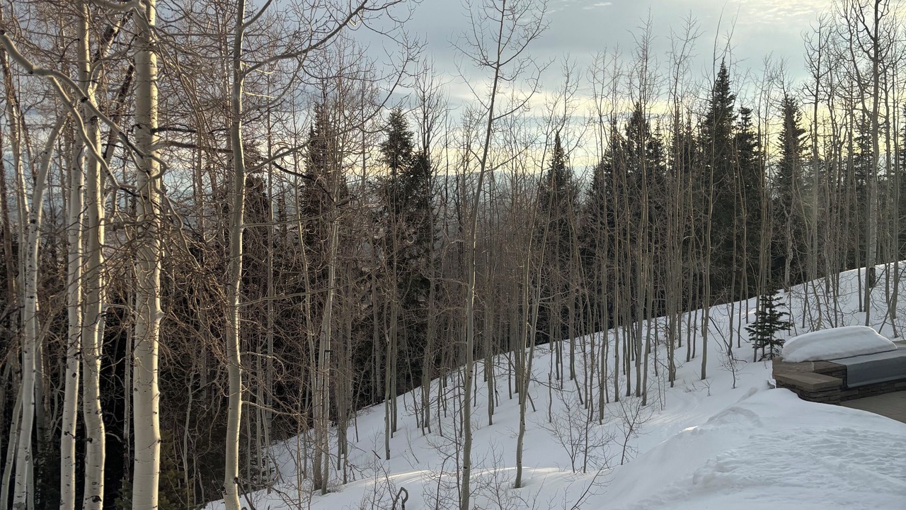 Photo of Others in Park City