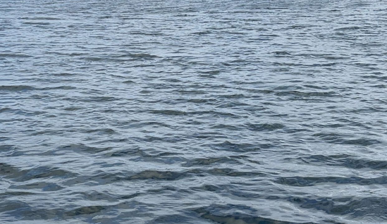 Photo of Others in Winter Haven