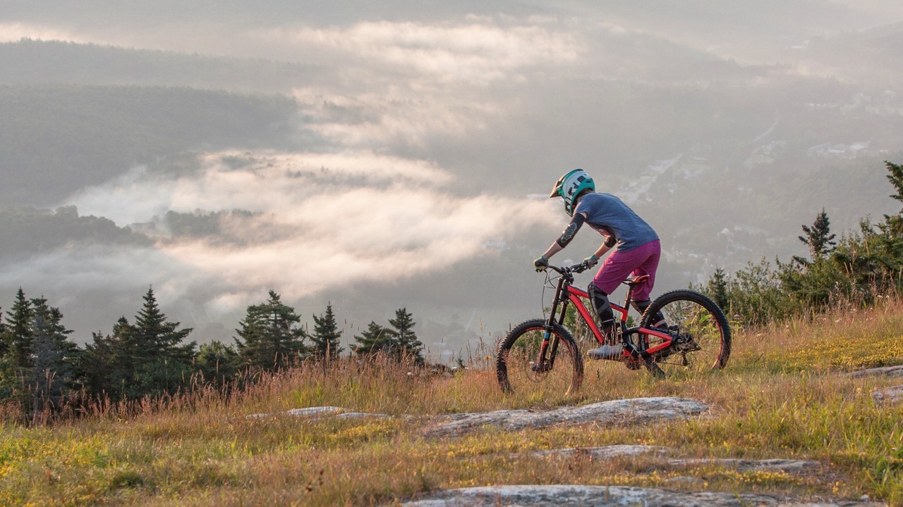 Photo of Others in Ludlow