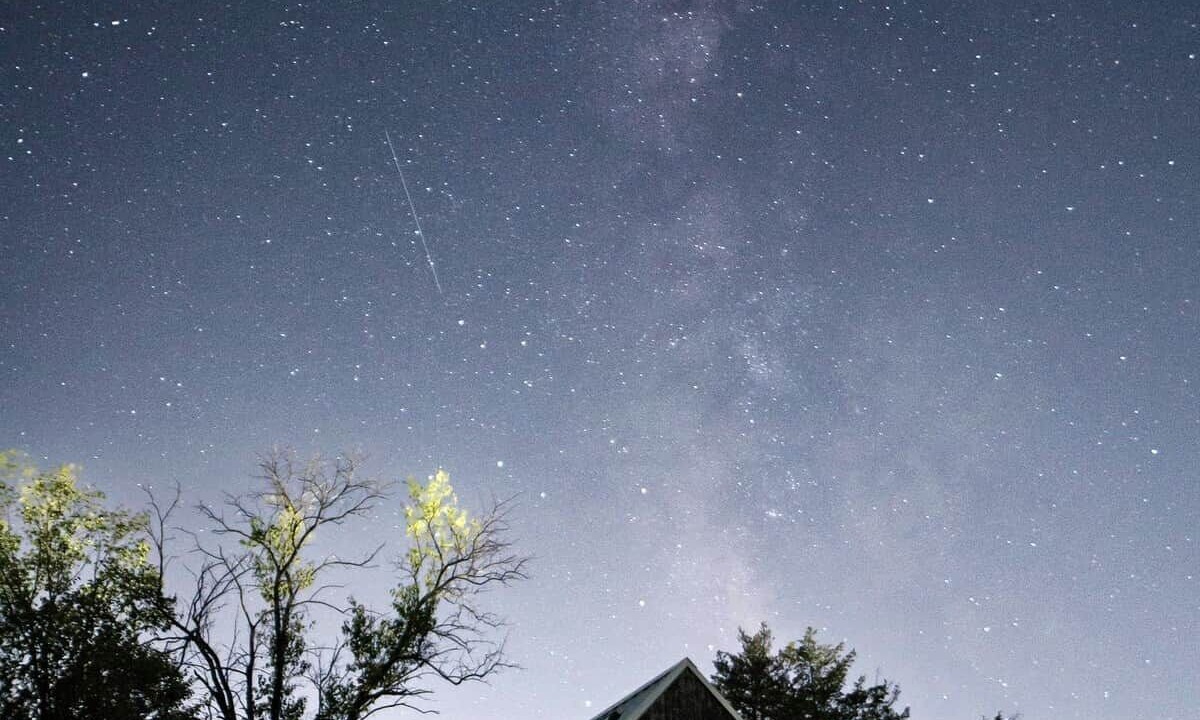 Photo of Others in Humboldt