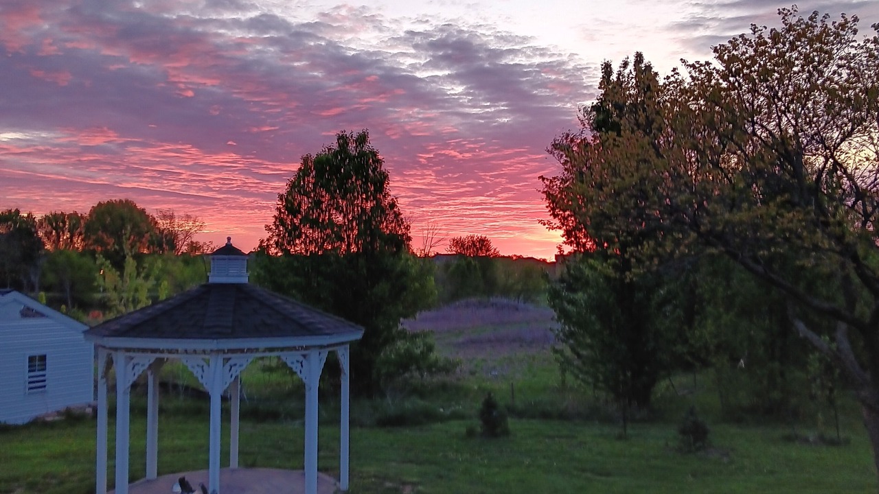 Photo of Outdoor in Olathe