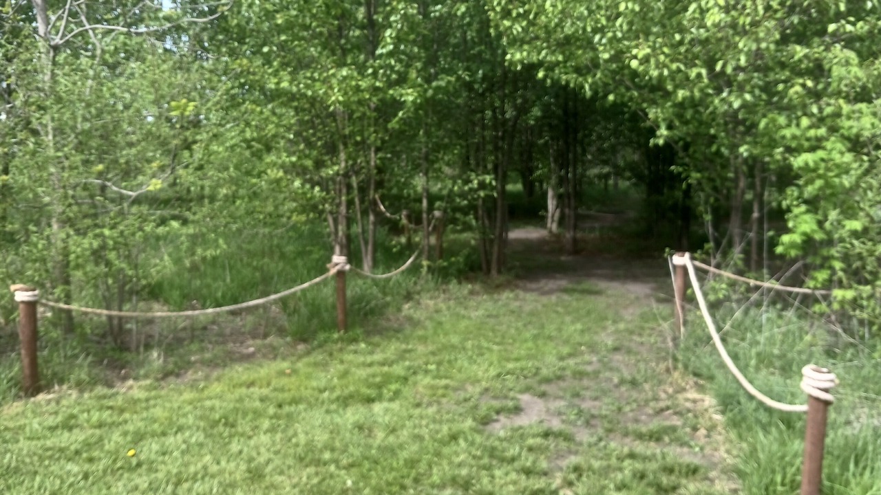 Photo of Outdoor in Olathe