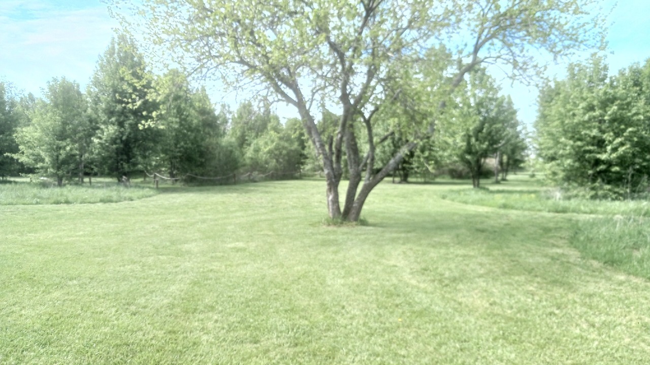 Photo of Others in Olathe
