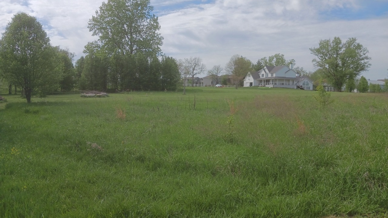 Photo of Outdoor in Olathe