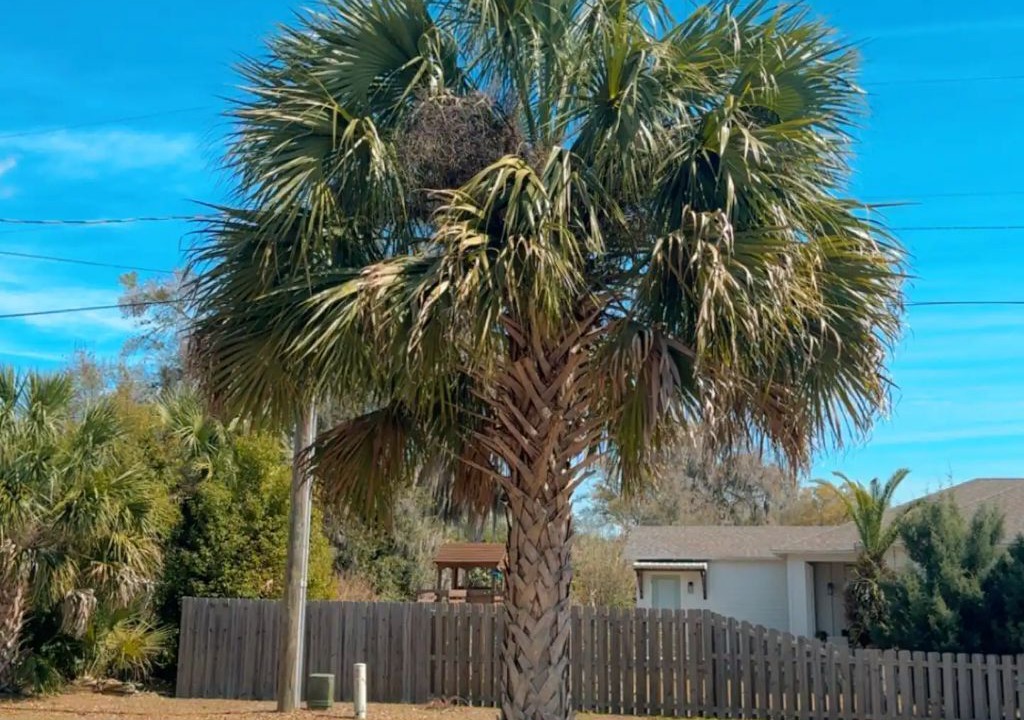 Photo of Outdoor in Lake Helen