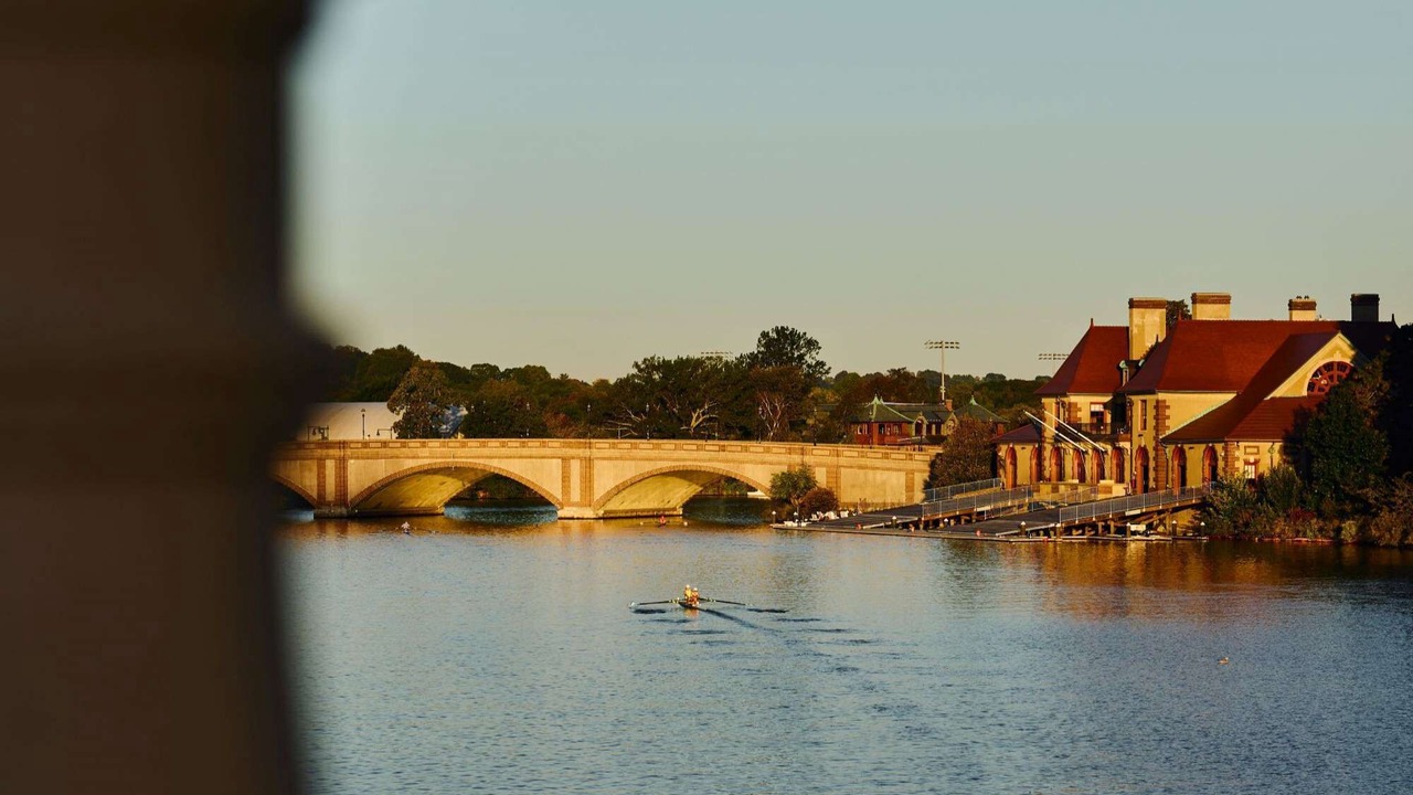 Photo of Others in Lower Allston