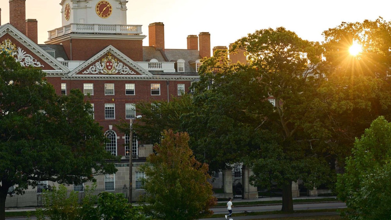 Photo of Others in Lower Allston