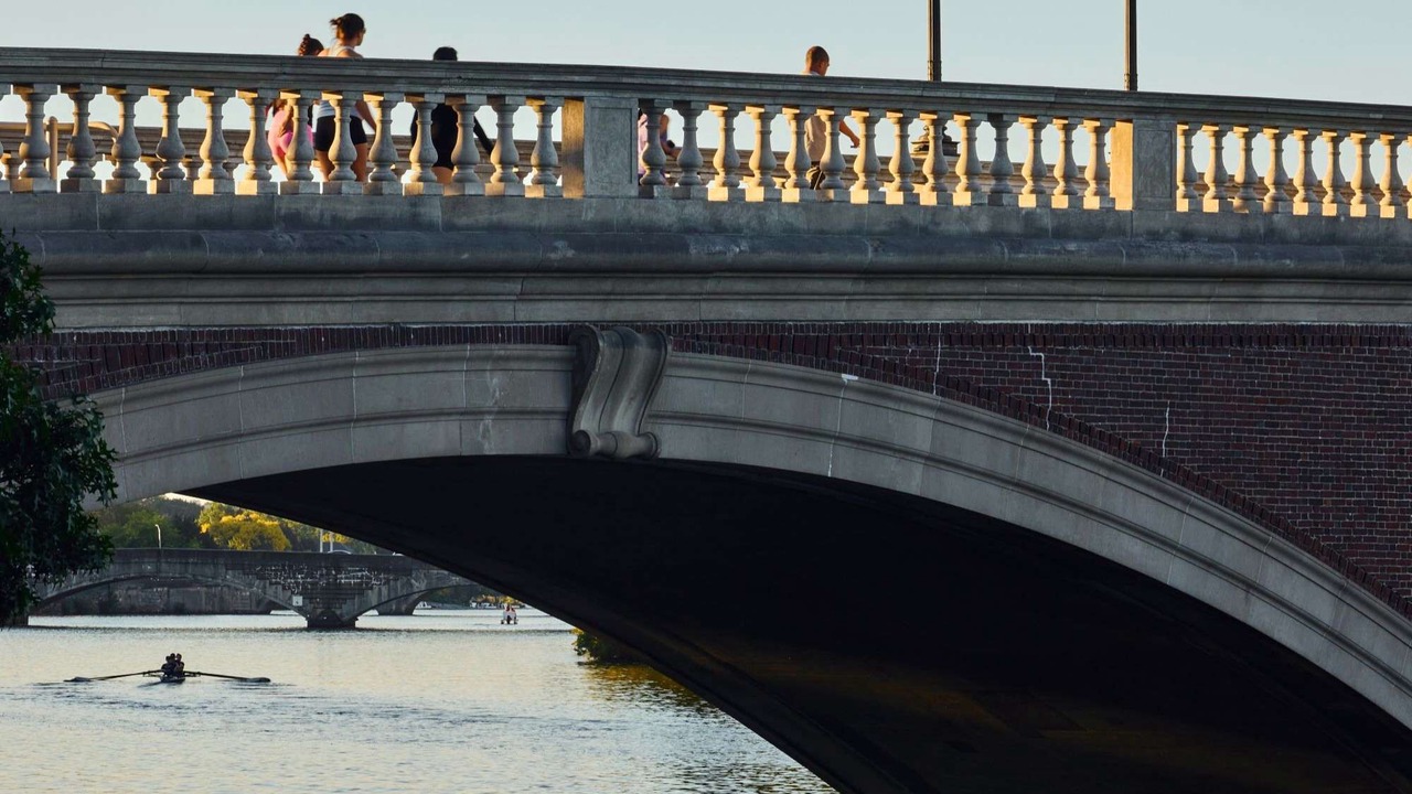 Photo of Others in Lower Allston