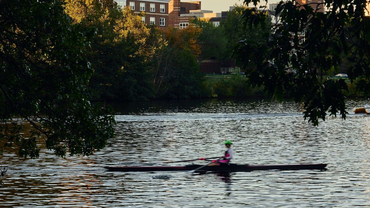 Photo of Others in Lower Allston