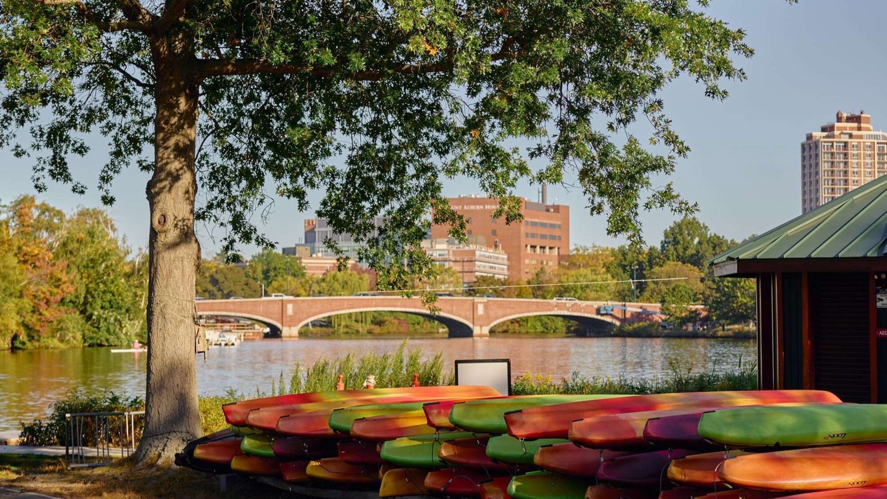 Photo of Others in Lower Allston