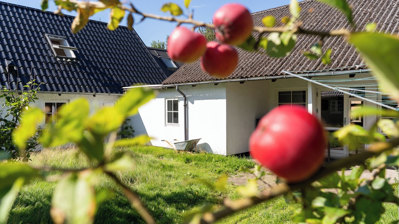 Photo of Outdoor in Fjerritslev