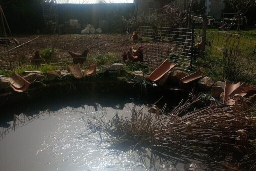 Photo of Outdoor in Lalinde