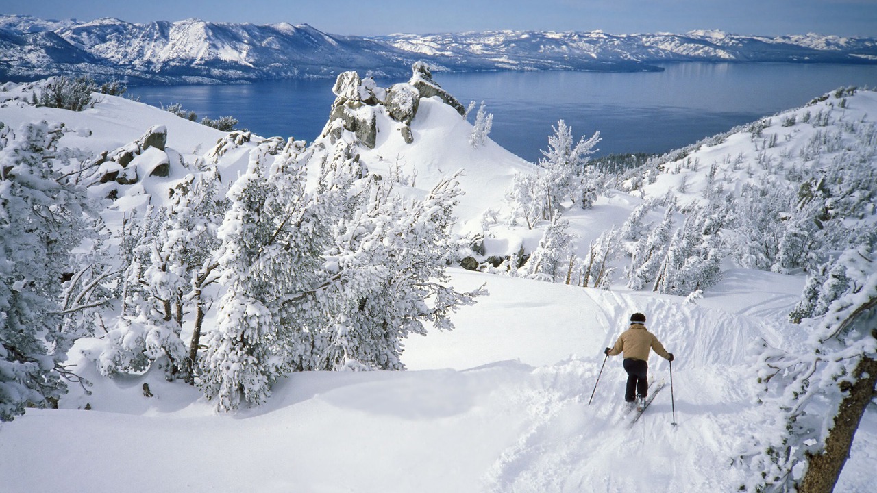 Photo of Others in Sierra Tract