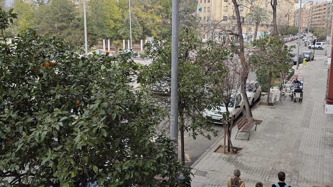 Photo of Others in Patraix