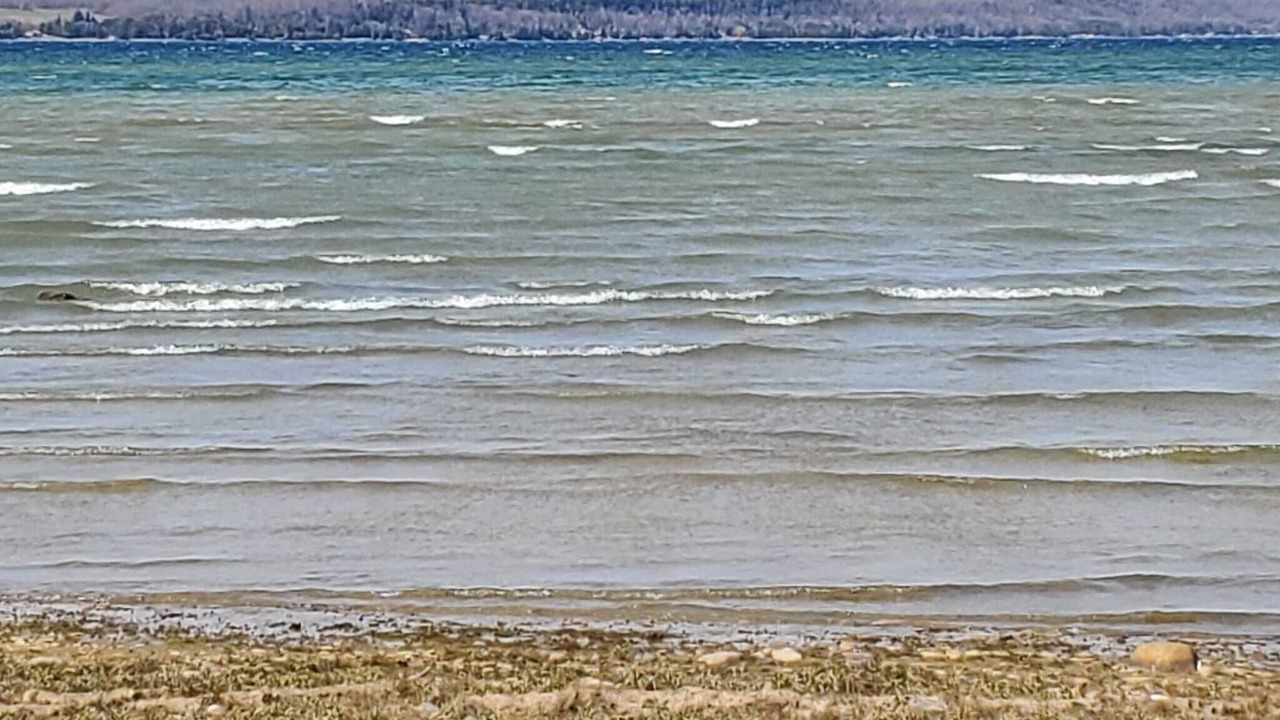 Photo of Others in Wiarton