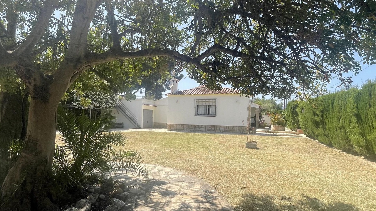 Photo of Outdoor in Miami Platja