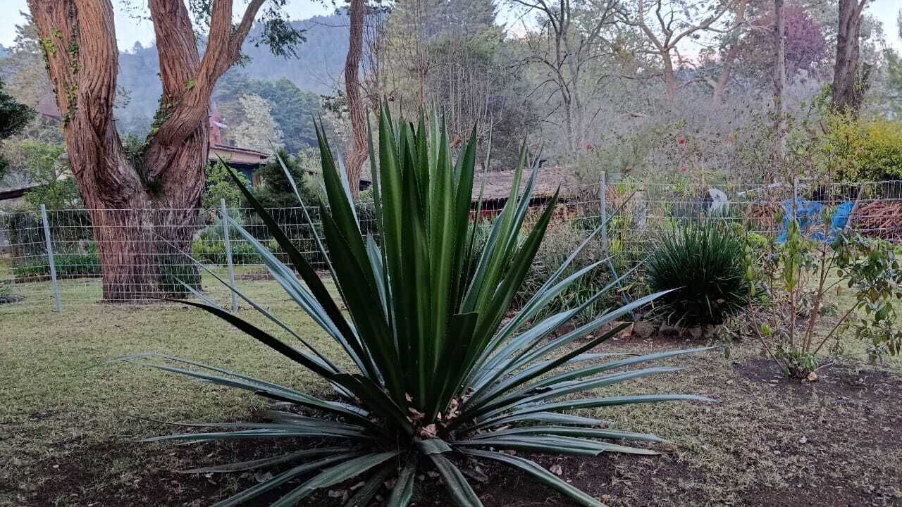Photo of Outdoor in San Martin
