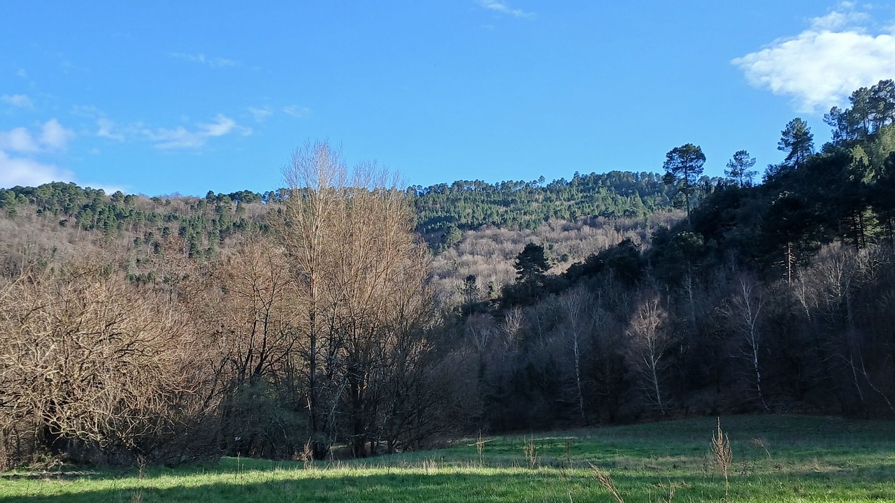 Photo of Others in Saint-Etienne-Vallee-Francaise