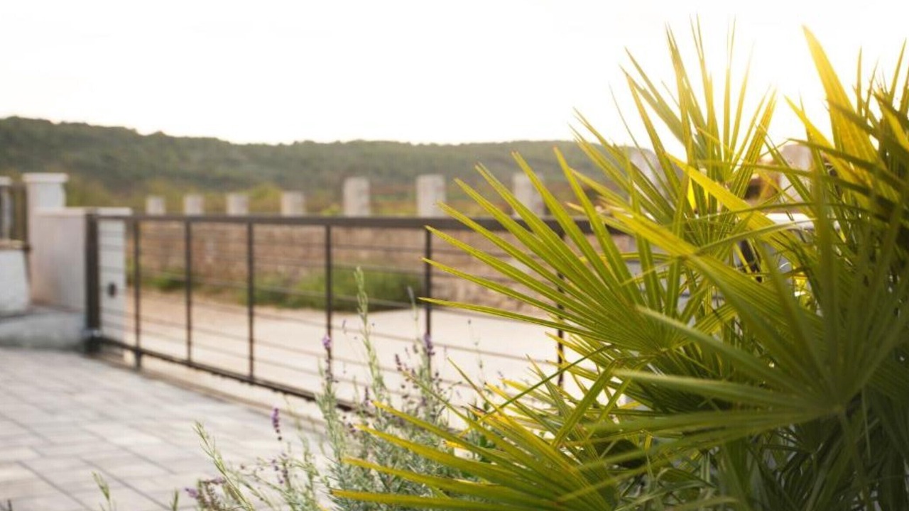 Photo of Outdoor in Solta