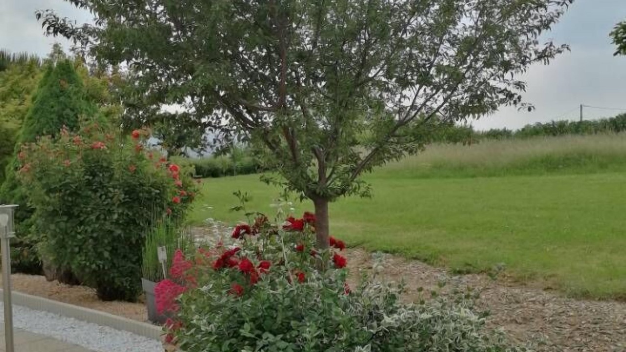 Photo of Outdoor in Bourg-le-Comte