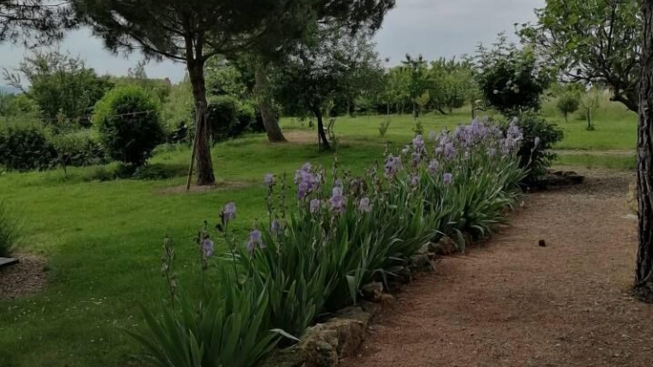 Photo of Outdoor in Bourg-le-Comte