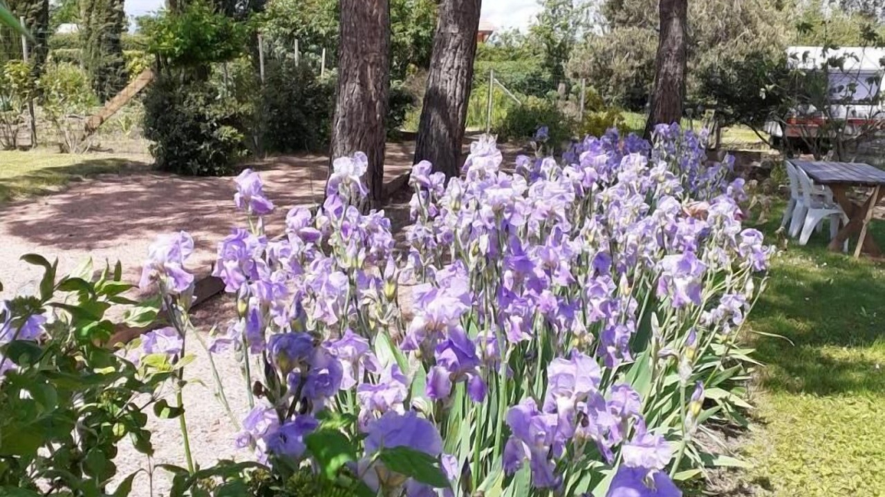 Photo of Outdoor in Bourg-le-Comte