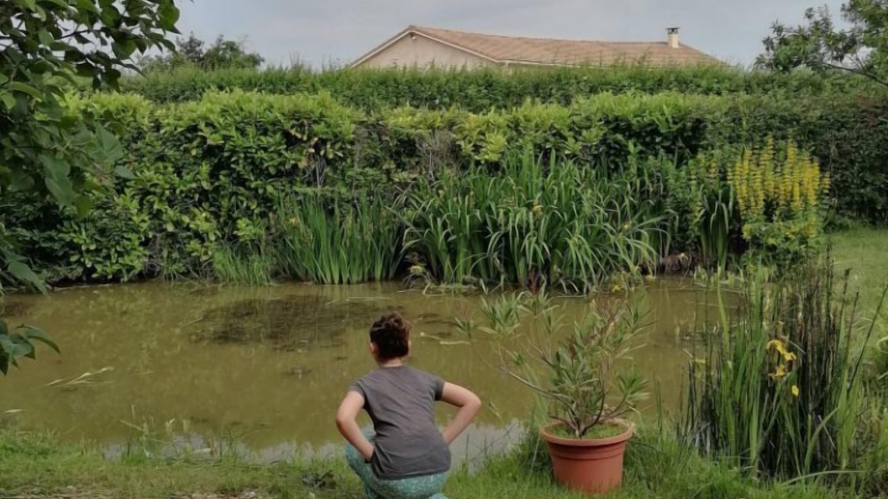 Photo of Outdoor in Bourg-le-Comte