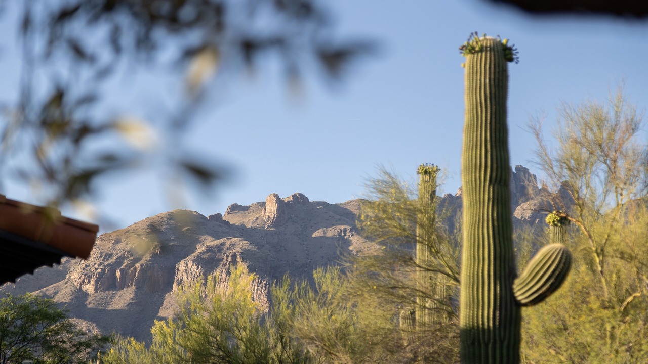Photo of Others in Catalina Foothills Estates