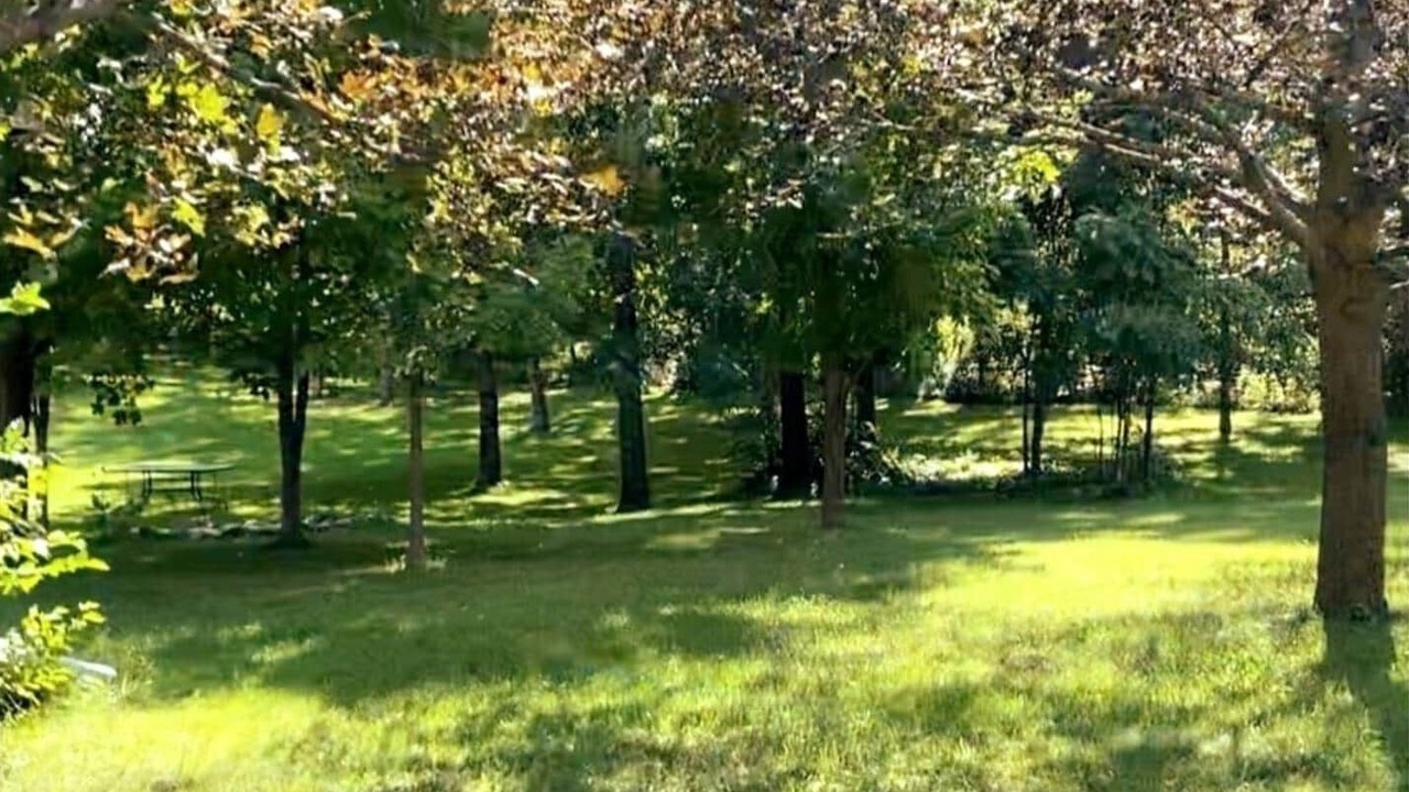 Photo of Others in Nottawa