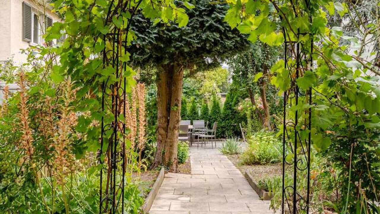 Photo of Patio Balcony in Wipkingen