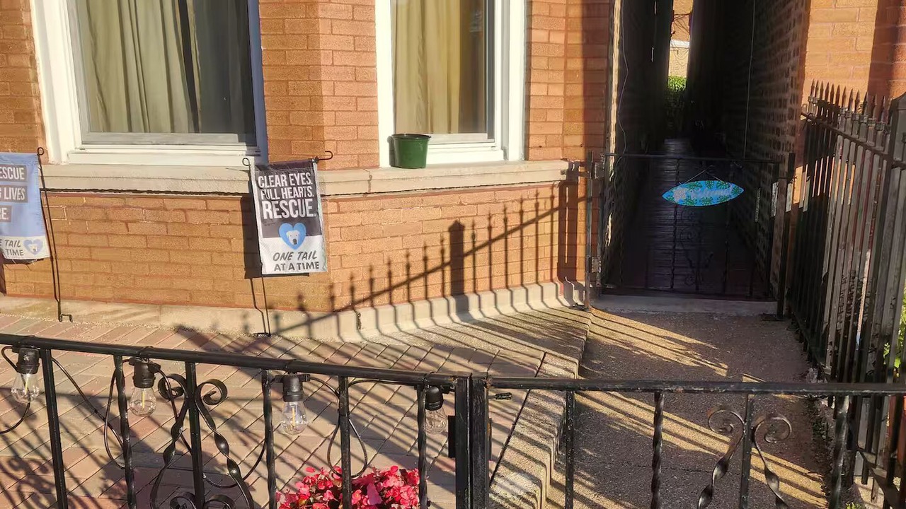 Photo of Outdoor in Heart of Chicago