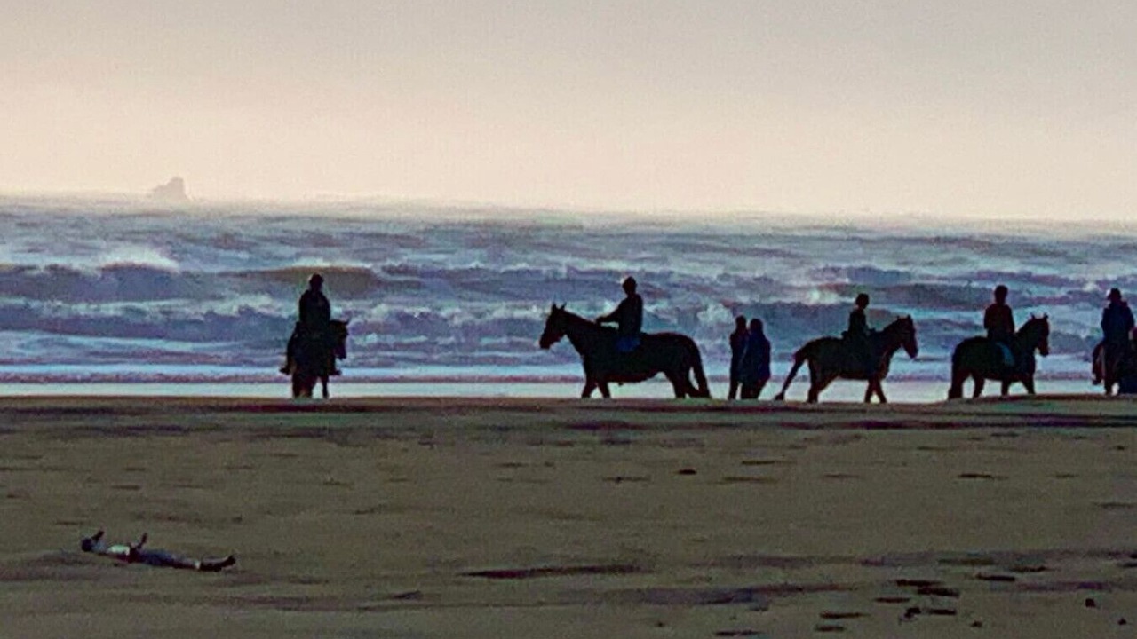 Photo of Others in Port Orford
