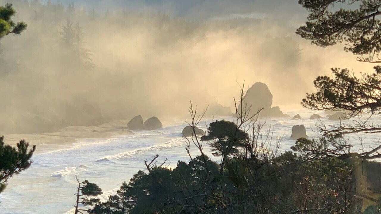 Photo of Others in Port Orford