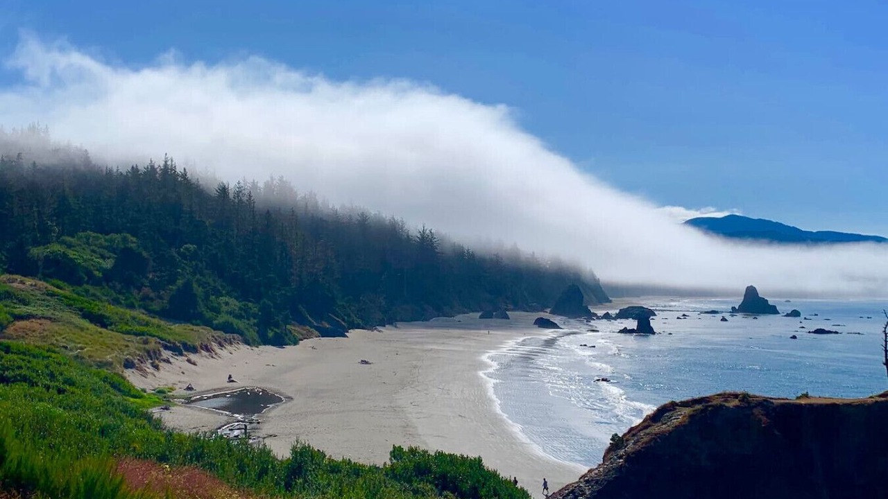 Photo of Others in Port Orford