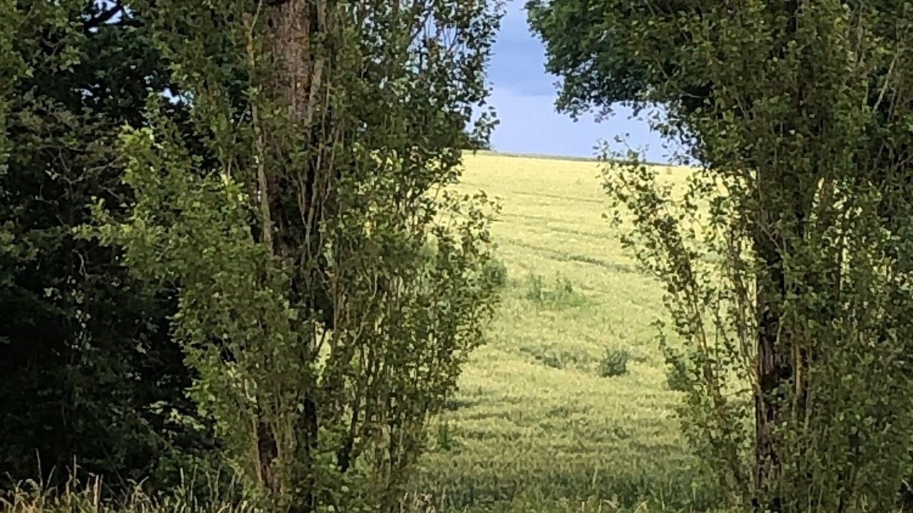 Photo of Others in Parfondeval