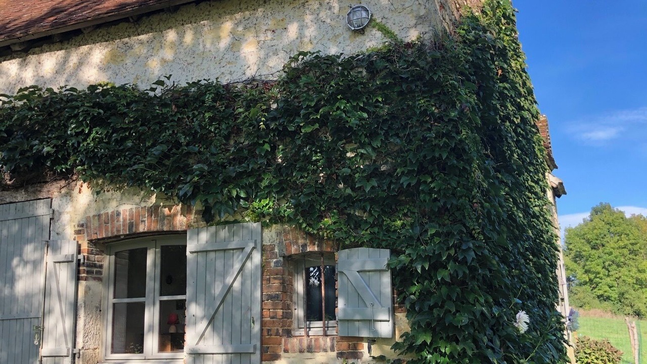 Photo of Outdoor in Parfondeval