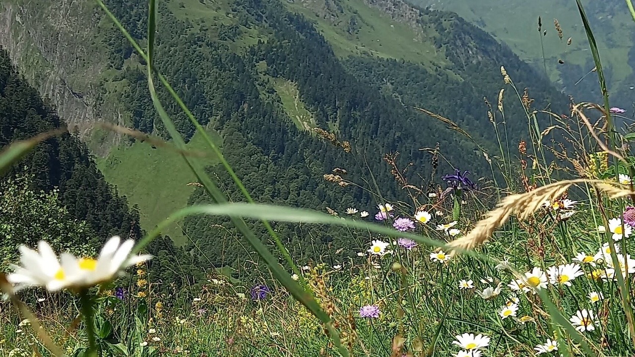 Photo of Others in Salles-et-Pratviel