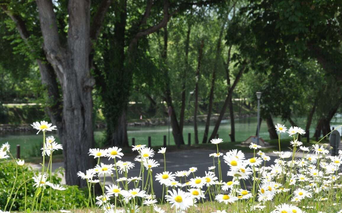 Photo of Outdoor in La Ferte-sous-Jouarre